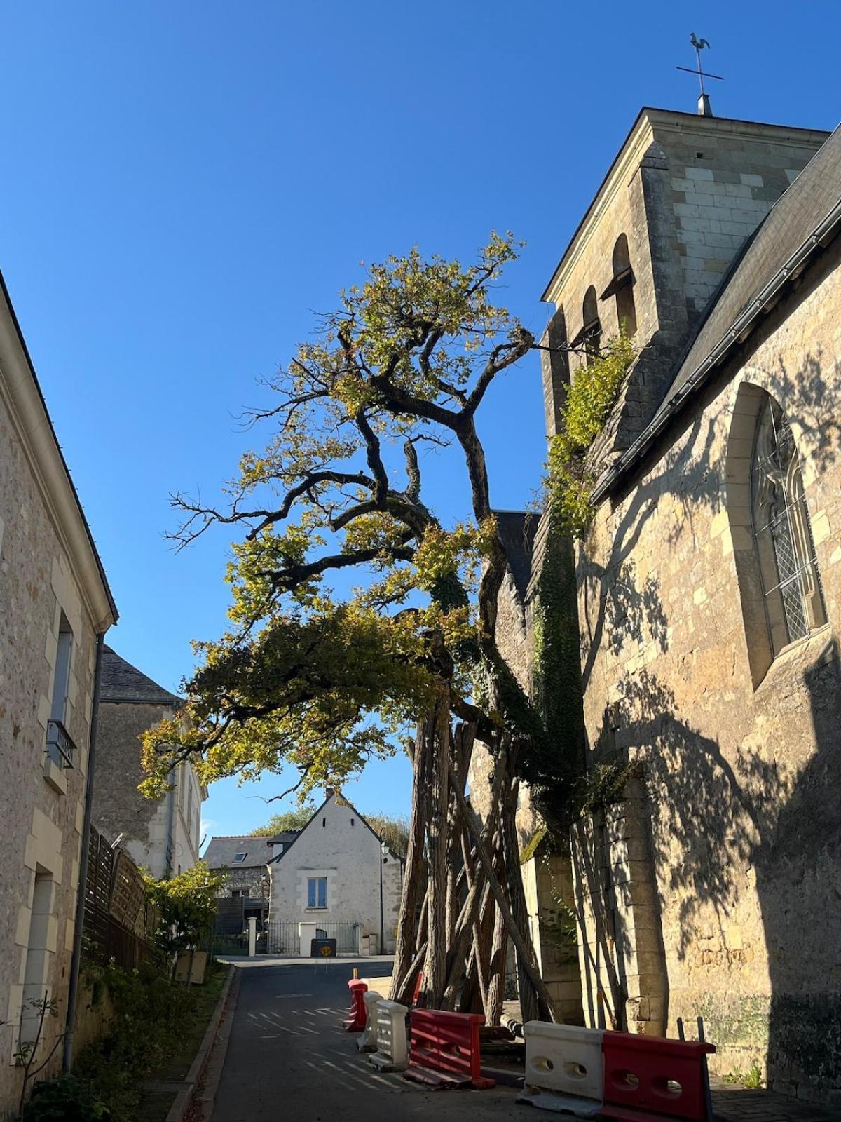 L'Armurerie Proche Islette Et Azay Le Rideau Cheillé Εξωτερικό φωτογραφία